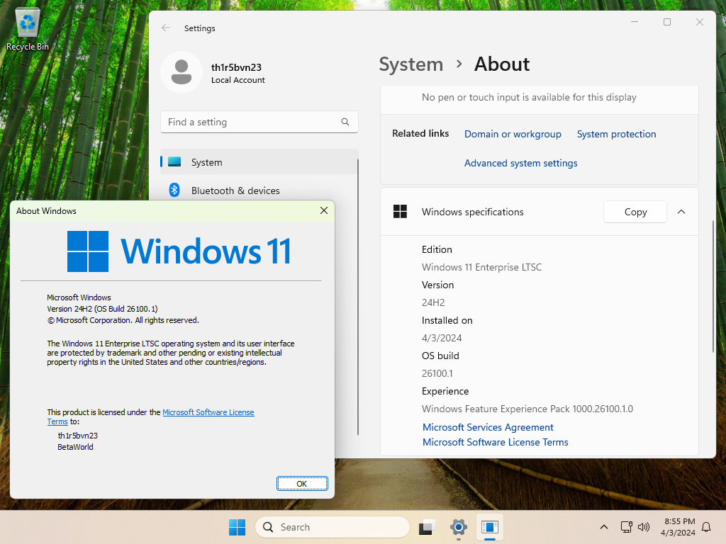 Windows 11 LTSC 26100.png